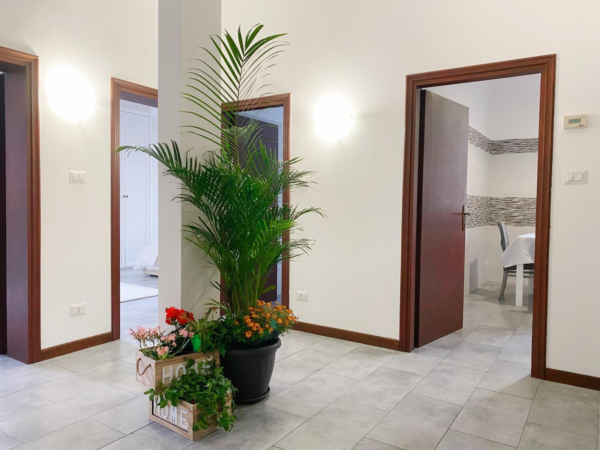 Gris Apartment: Venice מסטרה מראה חיצוני תמונה